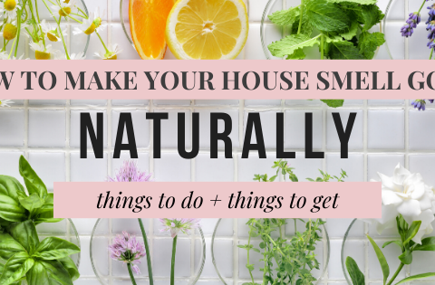 Make your house smell good naturally with these fabulous (and cheap) ideas!