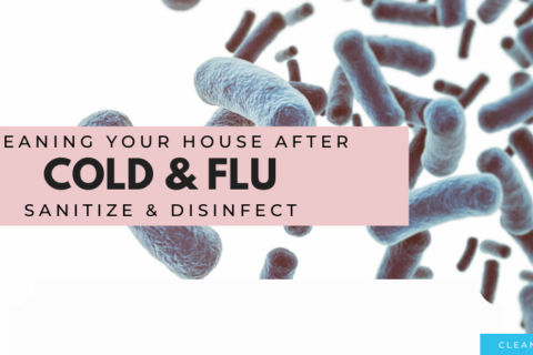 Coronavirus & Flu: How To Clean Your House After Sickness