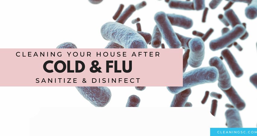 clean your house after illness