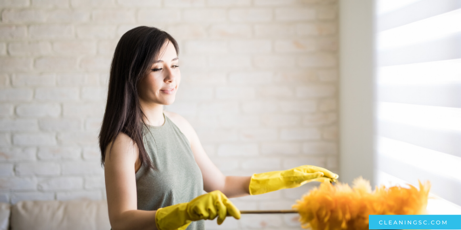 where to start cleaning a house