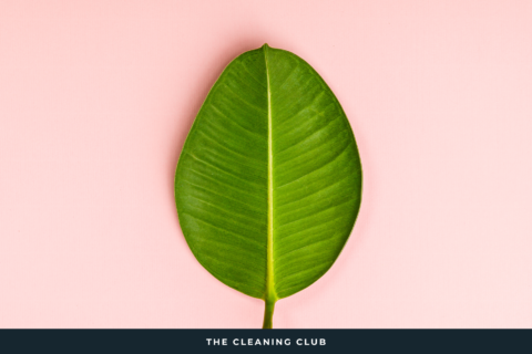 Turn Over a New Leaf with an Organized, Decluttered Home