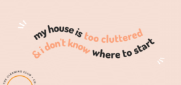 my house is too cluttered and I don't know where to start
